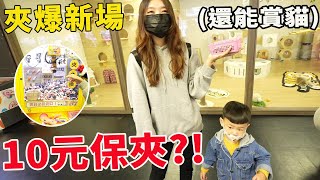 夾爆最新老虎蜜蜂永康店 10元就給你保夾必中?!【Bobo TV】#302claw machine クレーンゲーム