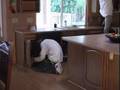 Designer Cabinet Refinishing (Hinges) Designer Cabinet Refinishing (Hinges)