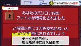 【独自取材／シンソウ】出版大手も「ランサムウェア」被害に！巧妙化するサイバー犯罪捜査の最前線【岡山】 (24/07/27 09:30)