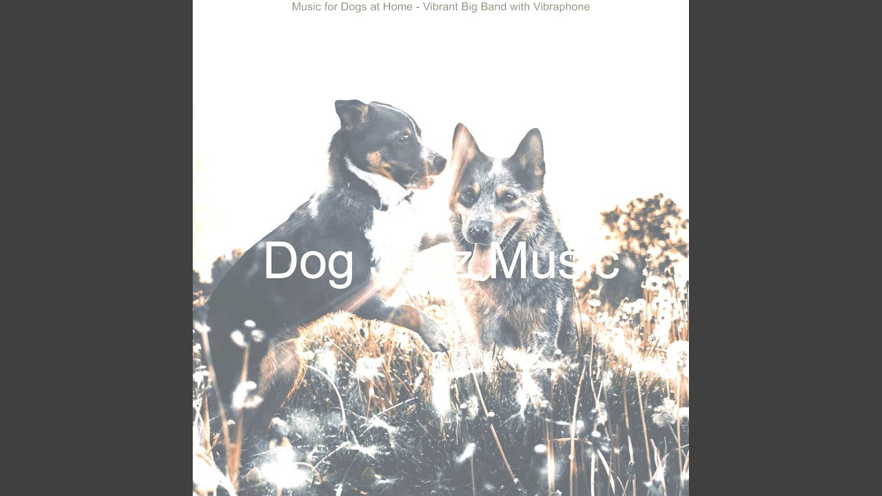 Fashionable Dogs at Home