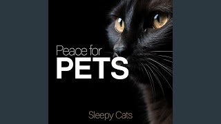 Persian Hours - Sleepy Cats
