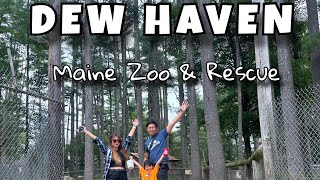DEW HAVEN MAINE ZOO & RESCUE | MEDTECH HAM