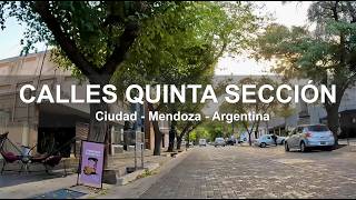Calle Pueyrredón / B. Sur Mer / Andrade / Huarpes / Moreno - Mendoza - Argentina