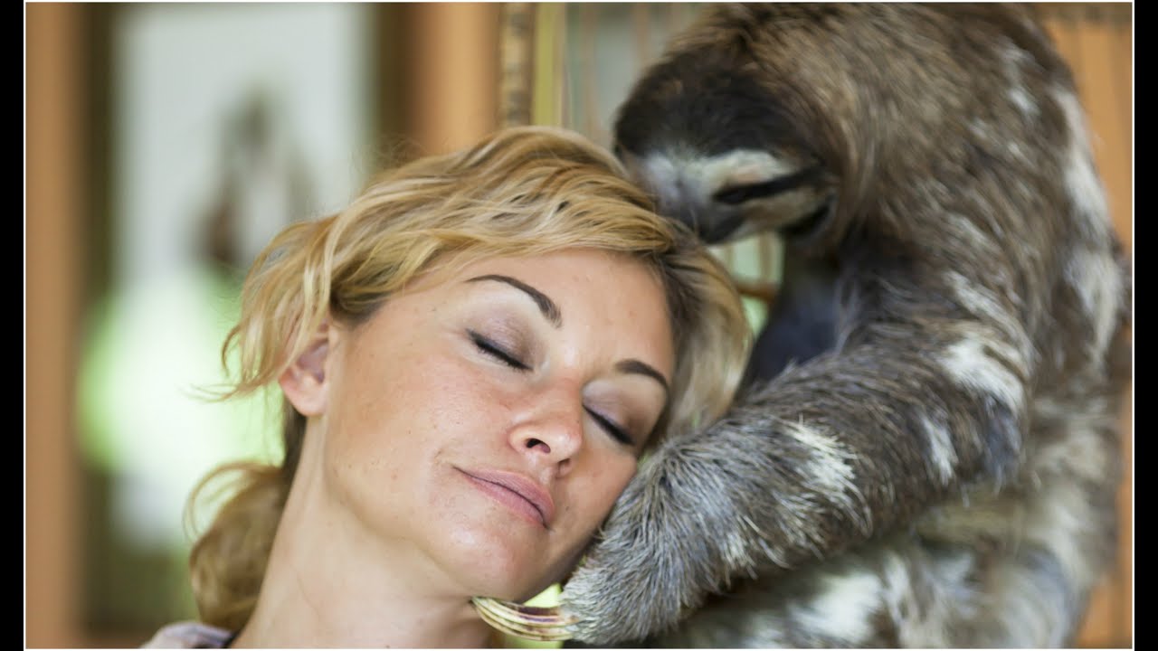 W Kostaryce leniwcami mogą opiekować się wolontariusze! [Kobieta na krańcu świata]