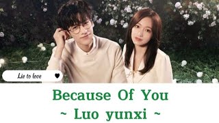 Lyrics | Because Of You ~ Luo yunxi (Ost. Lie to love)