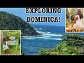 Exploring Dominica: The Nature Isle Of The Caribbean! ❤️🇩🇲 #islandtour #dominica