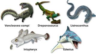 Every Aberrant Design in Evolutionary History Explained