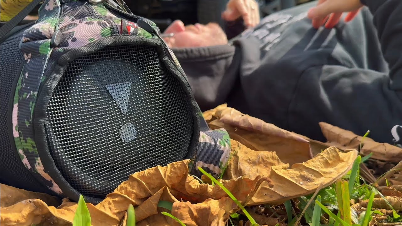 DOPPLA - NEVER ENOUGH (OFFICIAL MUSIC VIDEO)