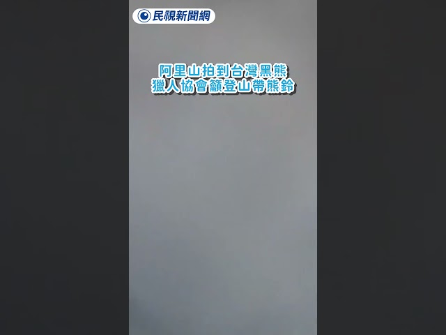阿里山拍到台灣黑熊 獵人協會籲登山帶熊鈴｜民視新聞｜