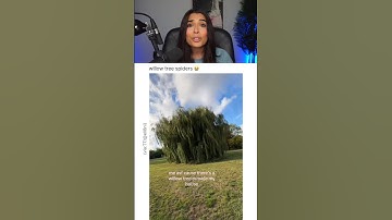 ZE HEEFT EEN WILGENBOOM.. 😭💀