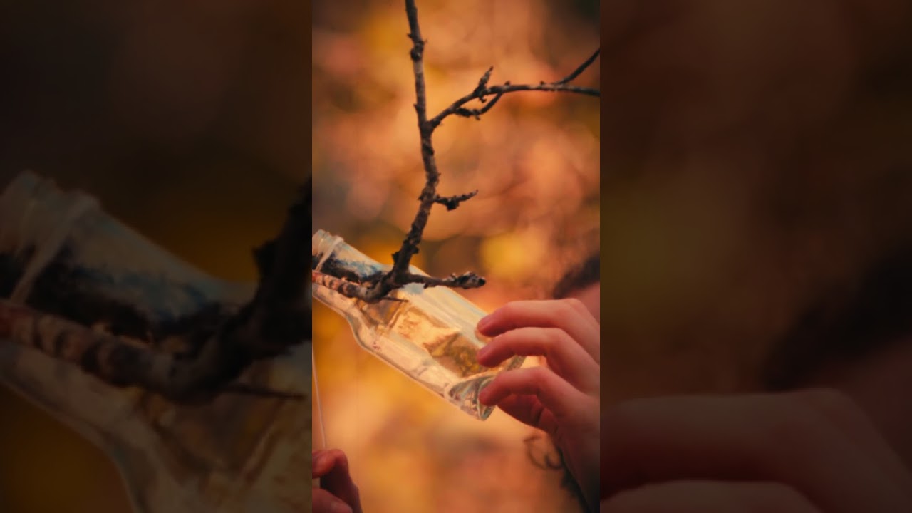 Harvesting birch sap, traditions in Norway 