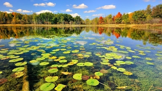 Anatoly Liadov - The Enchanted Lake, symphonic poem Op. 62 @russianclassicalmusiccompo8874
