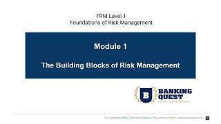 Celebrity FRM 101: Module 1 - The Building Blocks of Risk Management Profile