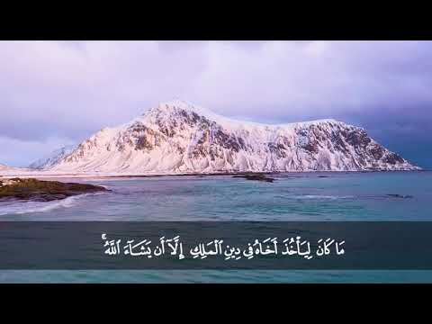 تلاوة من سورة يوسف من المصحف المرتل بصوت الشيخ د محمد حسان