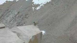 Marmot on top of Mt Whitney