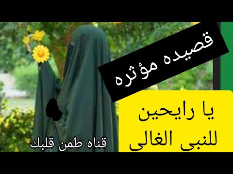 يا رايحين للنبى الغالى هنيالكم وعقبال قصيده مؤثره