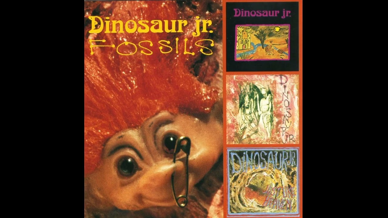 Dinosaur Jr. Fossils レコード LP ダイナソーJr. Dinosaur Jr. Fossils 12