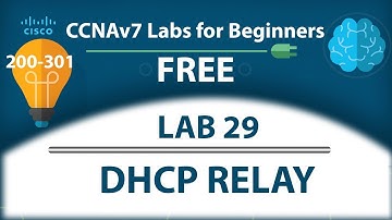 DHCP Configuration for Multiple VLANs | DHCP Relay | IP Helper Address - Lab28 | Free CCNA 200-301