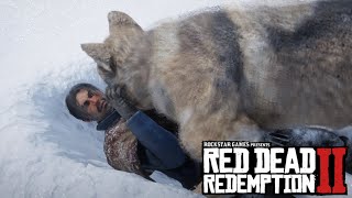 Javier’s Death Hidden Cutscene in Red Dead Redemption 2