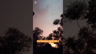 Live Thundering - Best ASMR