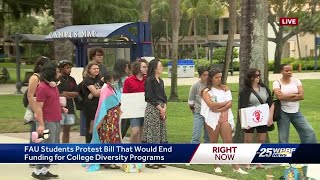 FAU students protest bill that would end funding for college diversity programs