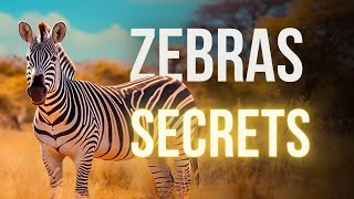 10 Facts You Didn't Know About Zebras.