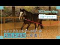 ハローマイキー🐎💨調馬索運動に密着👀｜TCCホースVlog