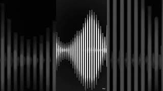 Longitudinal waves (sound waves)