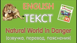 ТЕКСТ ТЕКСТ