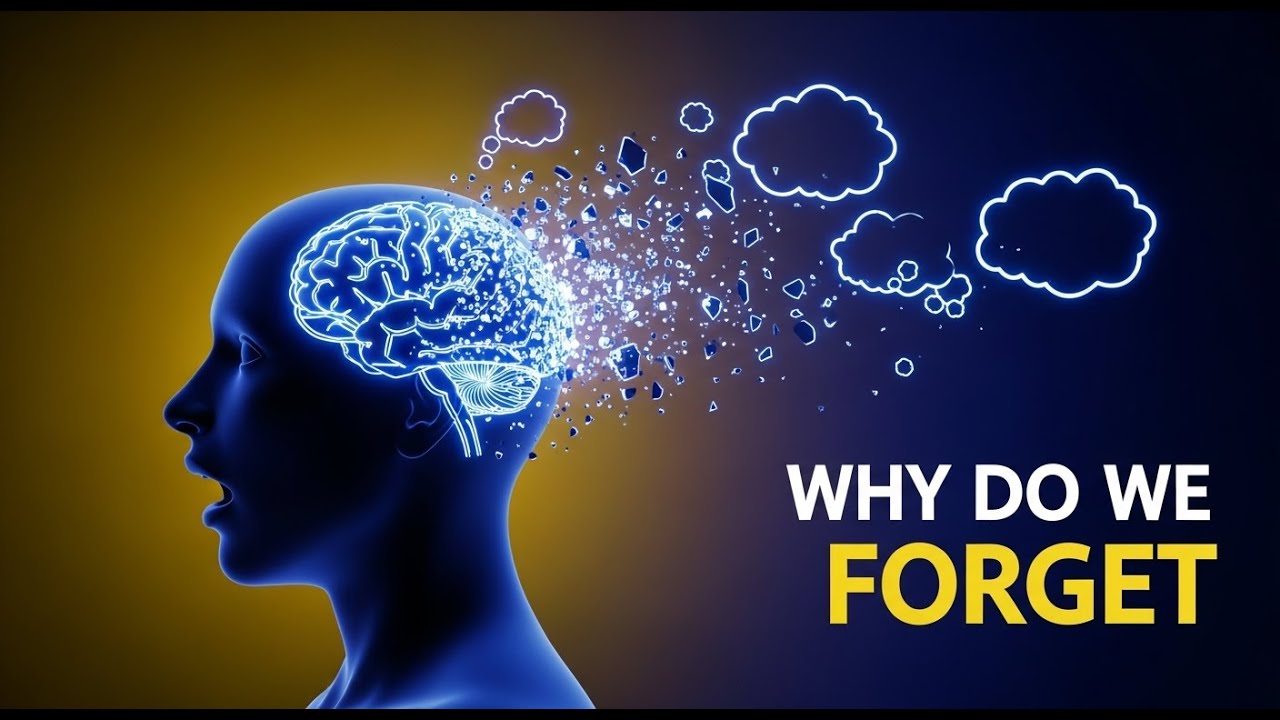 Why Do We Forget What We Were About to Say? The Science Behind Memory ...