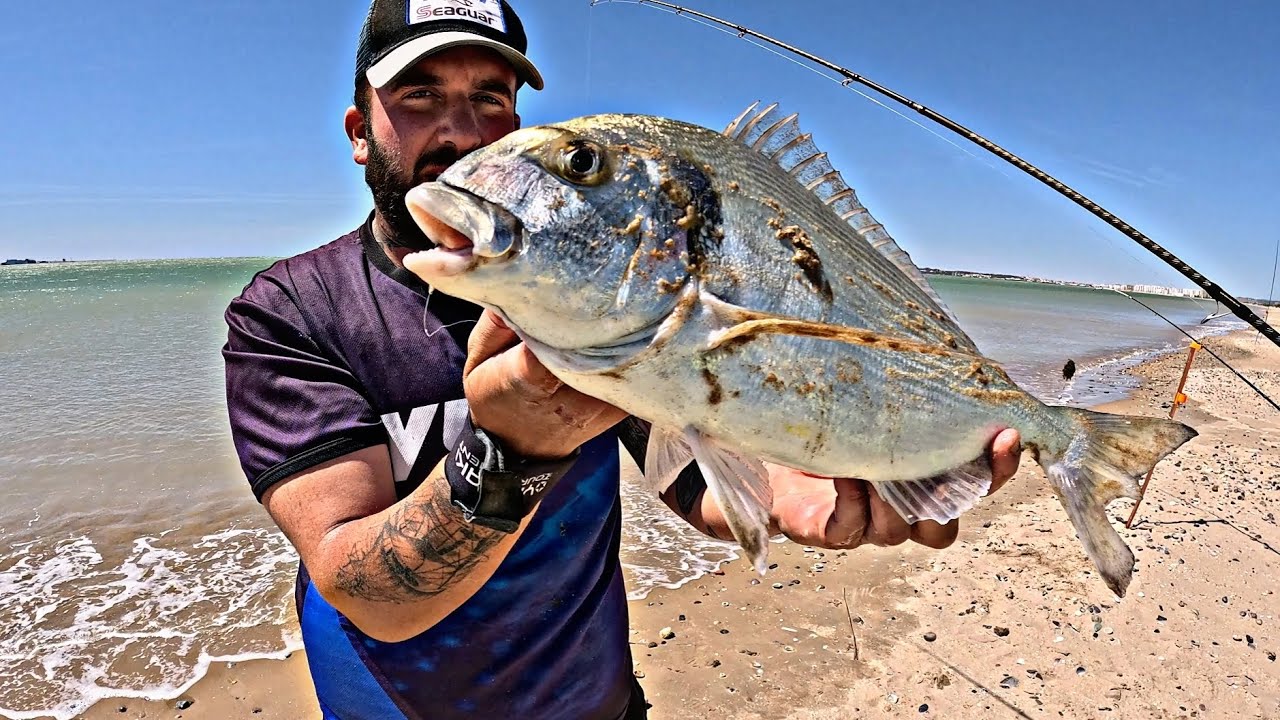 BUSCANDO LA DORADA SURFCASTING EN VALDELAGRANA CADIZ