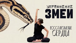 картинка: Сила Змеи: восстанавливаем Сердце с помощью ЦИГУН