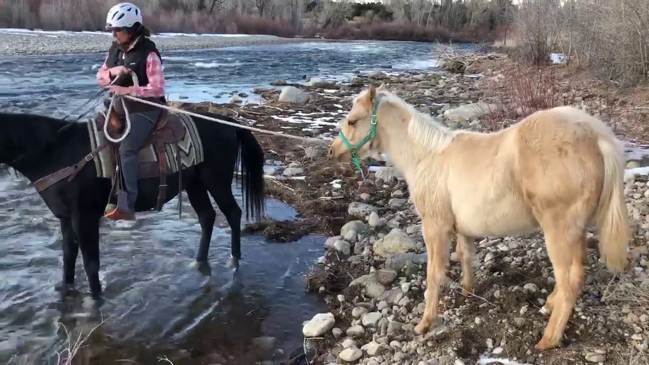 Val and Pistol on the Arkansas River