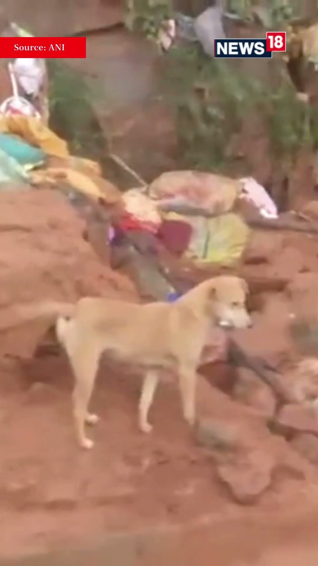 Rescue Operations In Full Swing After Cyclone Fengal Disrupts Lives | Cyclone Fengal | N18S
