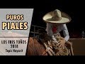 Puros PIALES - LOS TRES TOÑOS 2018