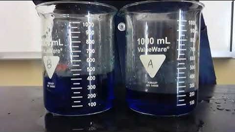DYNAMIC EQUILIBRIUM DEMO VIDEO