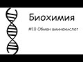 #10_Обмен аминокислот. Биохимия.