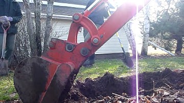 Transplanting A Tree