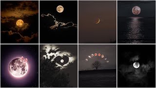 Dark Moon & Sylinophile Profile Pics Aesthetic Dp 2026
