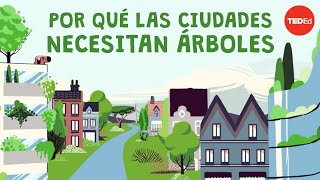 Thumbnail image for ¿Qué pasa si cortas todos los árboles de una ciudad? - Stefan Al