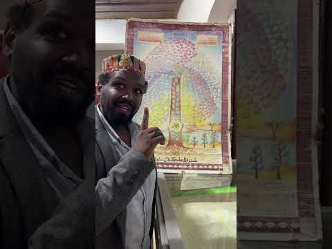 شجرة الأشراف في هرر