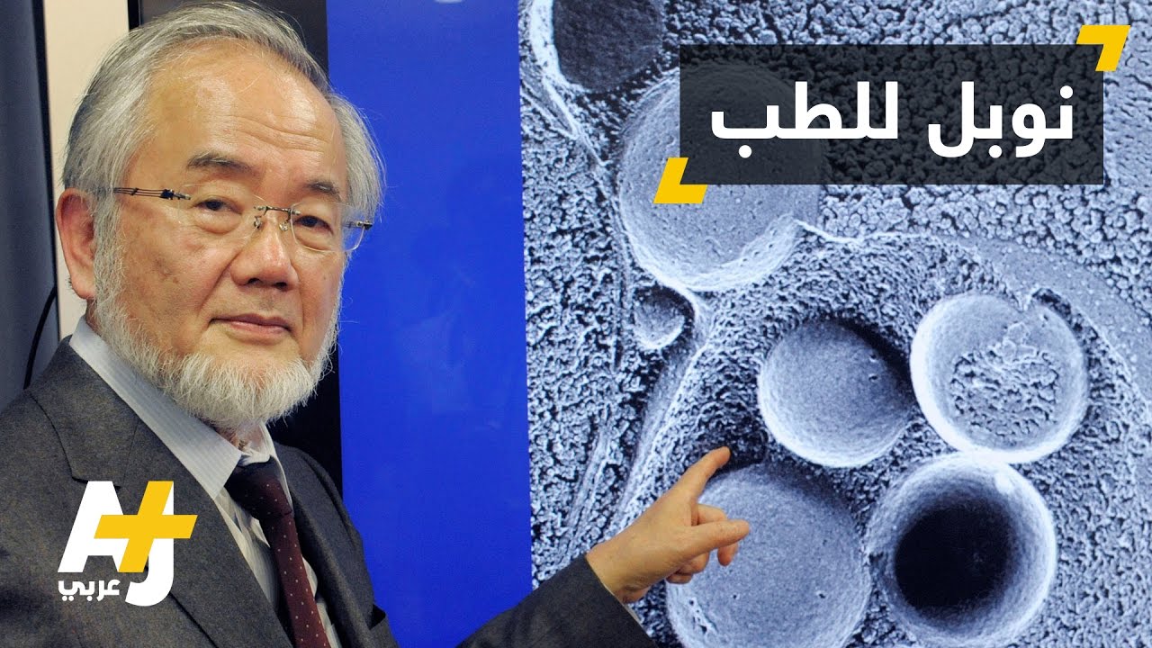 عالم ياباني يفوز بجائزة نوبل في مجال الطب