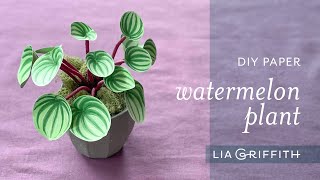 DIY Paper Watermelon Plant