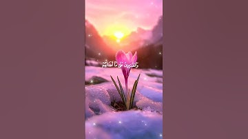 سورة الحج     وبشر المخبتين الذين إذا ذكر الله وجلت قلوبهم