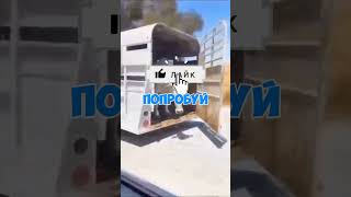 Спасение в последний момент! Как они это провернули? #shorts #приколы