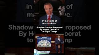 Shadow Cabinet Proposed By House Democrat to Fight Trump #Trump #donaldtrump #congress #uscongress