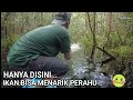 DI SPOT INI PERAHU 4 KALI DITARIK IKAN .. Punggu Alas Hari ke - 2