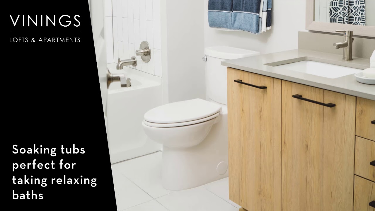 Atlanta Ga Apartments Vinings Lofts And Apartments Photo