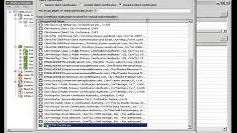 Deploying Web 2.0 Safely-Application firewalling of a REST Web Service (part 1 ) -