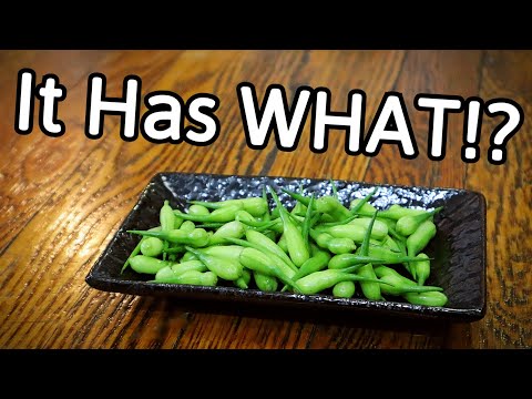 Video: Pod Radish